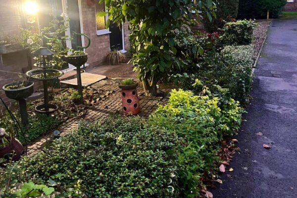 WhatsApp Image 2025-09-05 at 05.37.26_579451c2