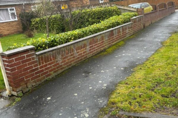 WhatsApp Image 2025-09-05 at 05.38.20_556dc057